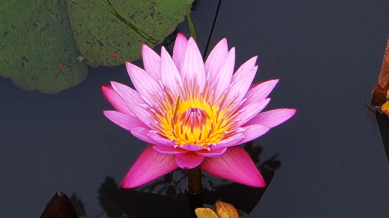 Romantc and beautiful location to meet sexy Asian women