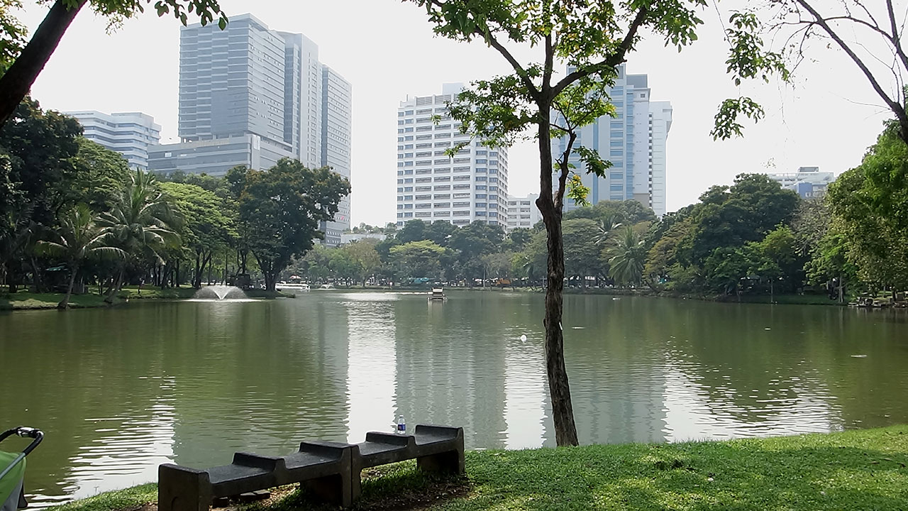 Lumphini Park Bangkok view of the pond