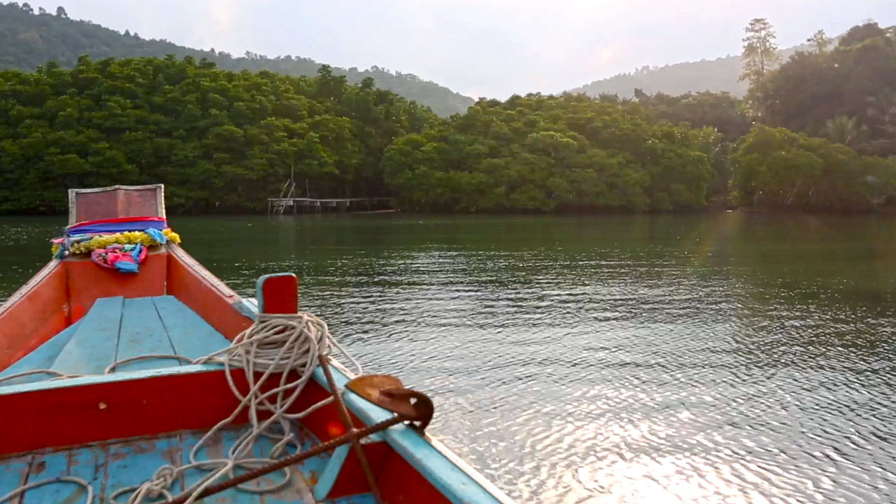 View from my sear on Koh Samui Boat Tour to a paradise forest