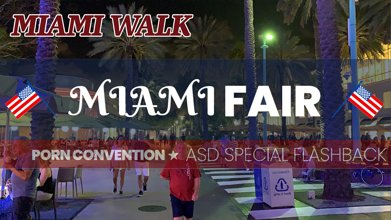 Miami Nightwalk At The Fair