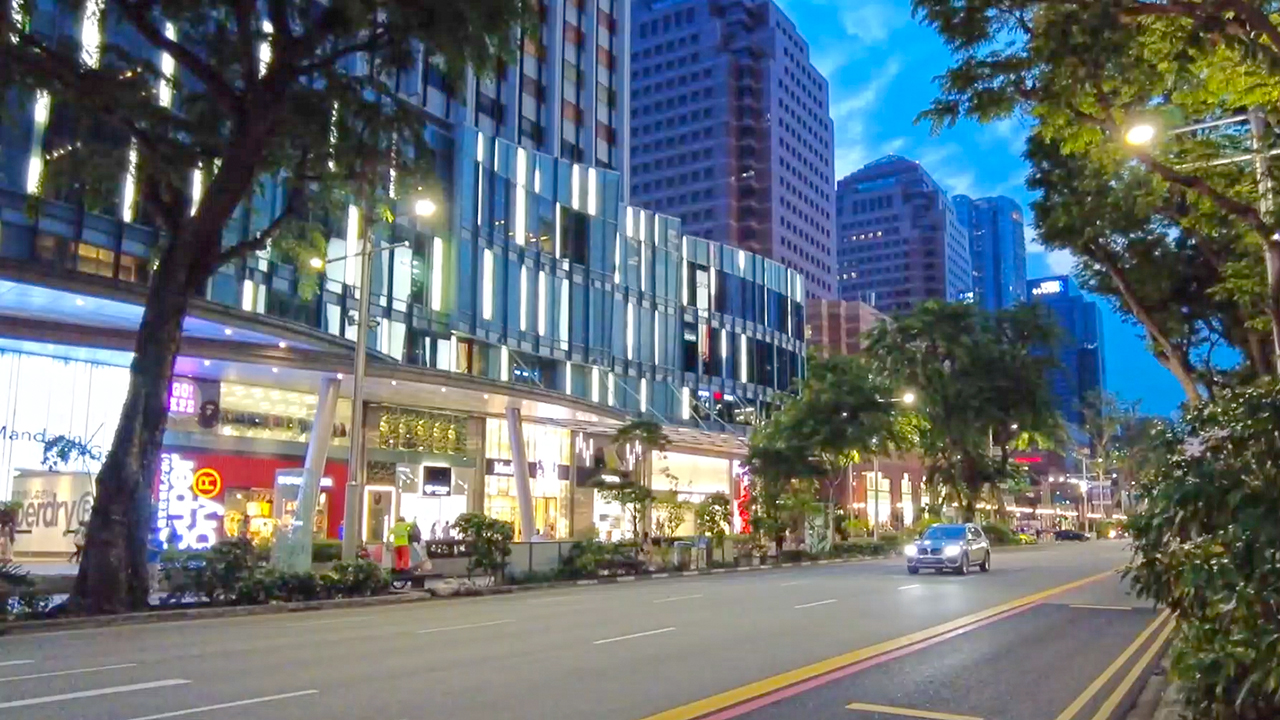 View of Orchard Road when Singapore Birds erupted into singing