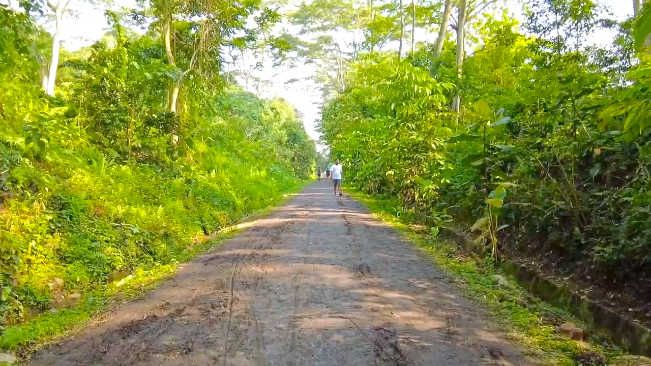 View on the Singapore Green Corridor walking trail