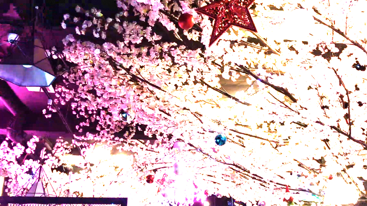Xmas decorations at Korean Restaurant in Angeles City