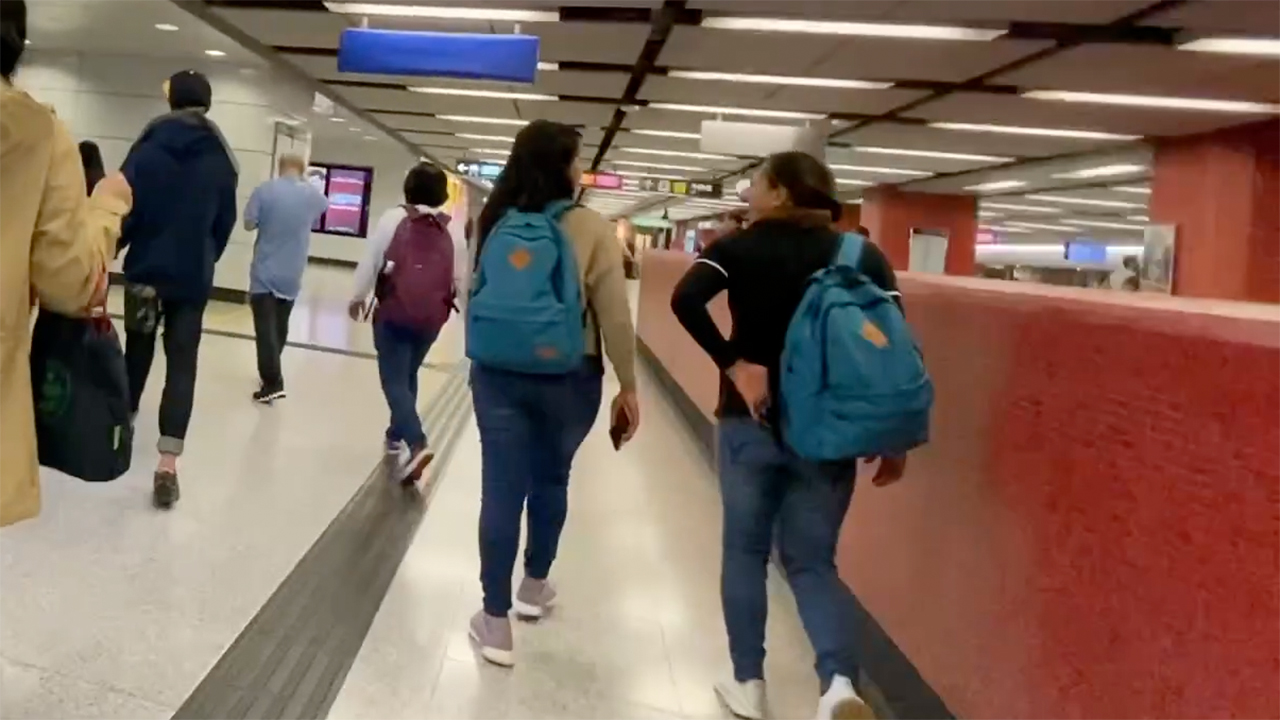 Chubby Jeans Asses on college girls